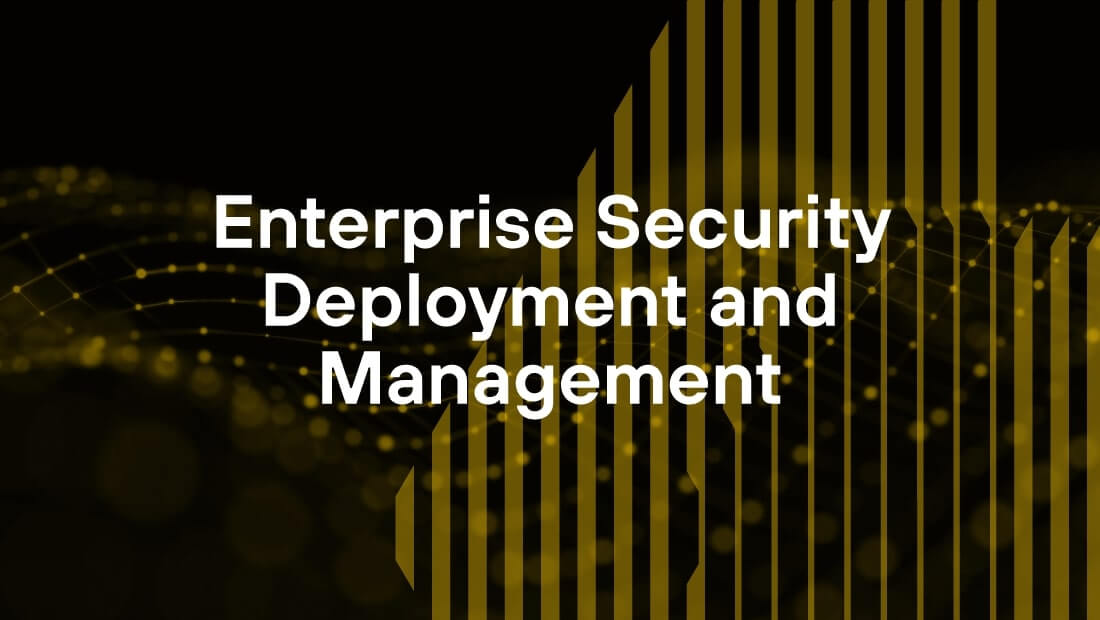 Palo Alto Networks Enterprise Security Background