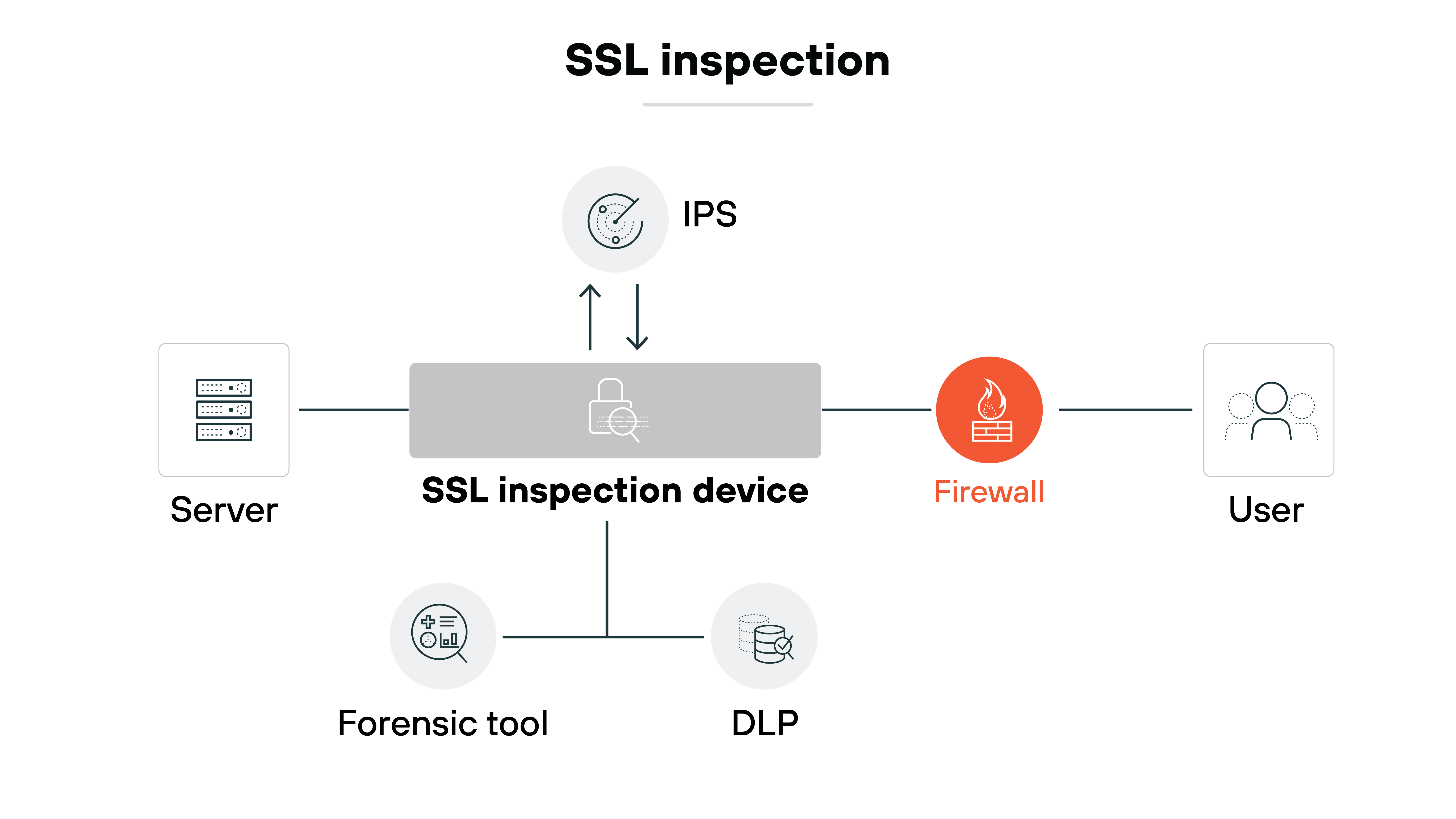 Architecture diagram illustrating the process of SSL inspection within a network security framework. On the left, a server is connected to an SSL inspection device, which is centrally positioned in the diagram. Above the SSL inspection device, an Intrusion Prevention System (IPS) is indicated with an upward arrow, showing interaction with the device. To the right, a firewall is depicted, with a direct connection to the user. Below the SSL inspection device, two additional components are shown: a forensic tool and Data Loss Prevention (DLP) measures, each with their respective icons. The title 