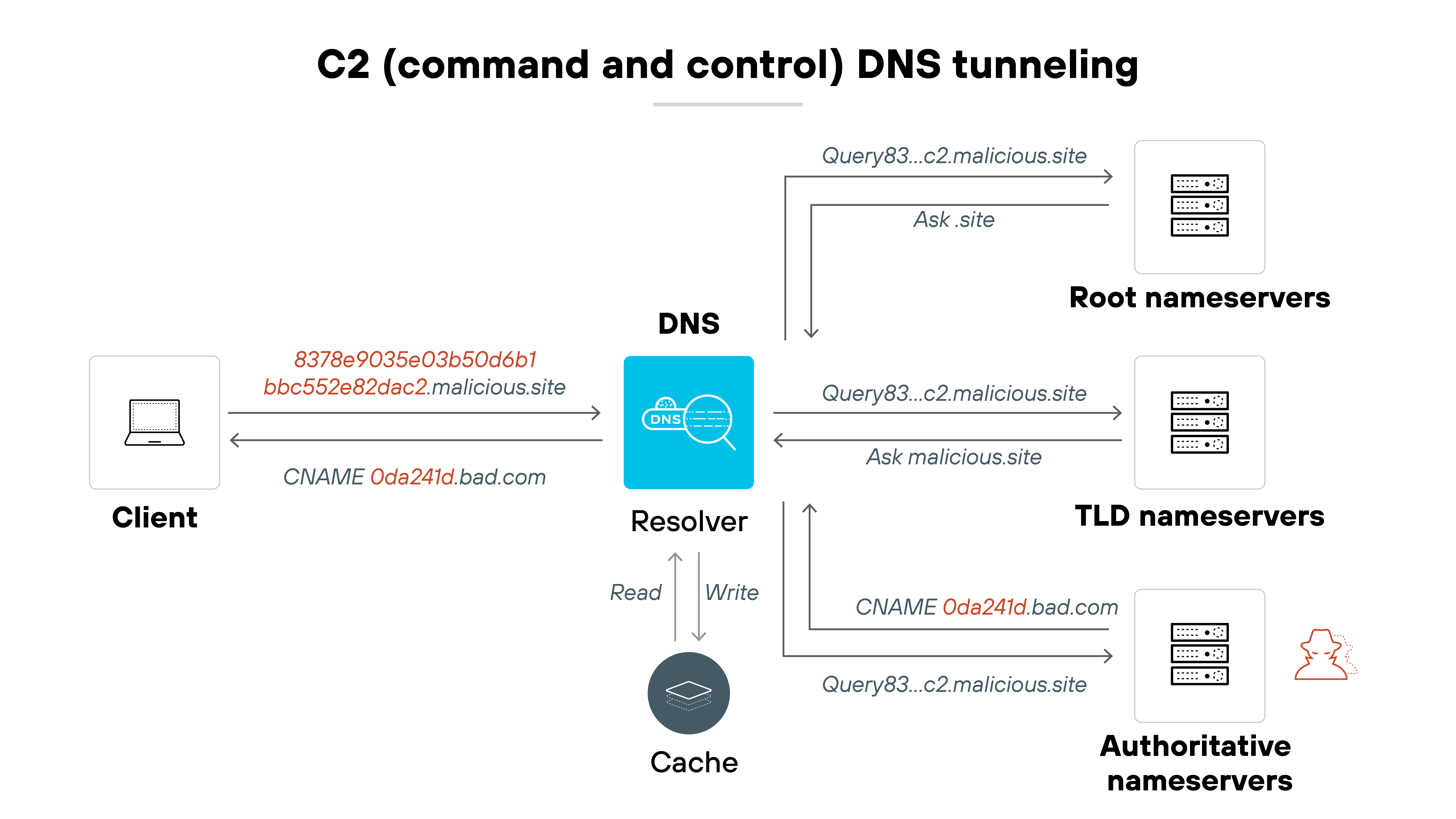 Architecture diagram titled 'C2 (command and control) DNS tunneling' showing a DNS query and response process involving a client, resolver, DNS servers, and authoritative nameservers controlled by an attacker. On the left, a 'Client' sends a DNS query containing encoded data, shown as '8378e9035e03b50d6b1bbc552e82dac2.malicious.site,' to a central DNS icon. The query is labeled with a 'CNAME 0da24fd.bad.com' request. This traffic flows through a 'Resolver' that communicates with a 'Cache' using read and write arrows. The resolver forwards the query upward to the 'Root nameservers' labeled with 'Query83...c2.malicious.site' and 'Ask .site,' and then to the 'TLD nameservers' labeled 'Ask malicious.site' and 'Query83...c2.malicious.site.' From there, the query reaches the 'Authoritative nameservers' where the domain '0da24fd.bad.com' is resolved and controlled by the attacker, depicted as a red silhouette icon. The resolver receives the CNAME response from the authoritative nameservers and processes it back to the client.