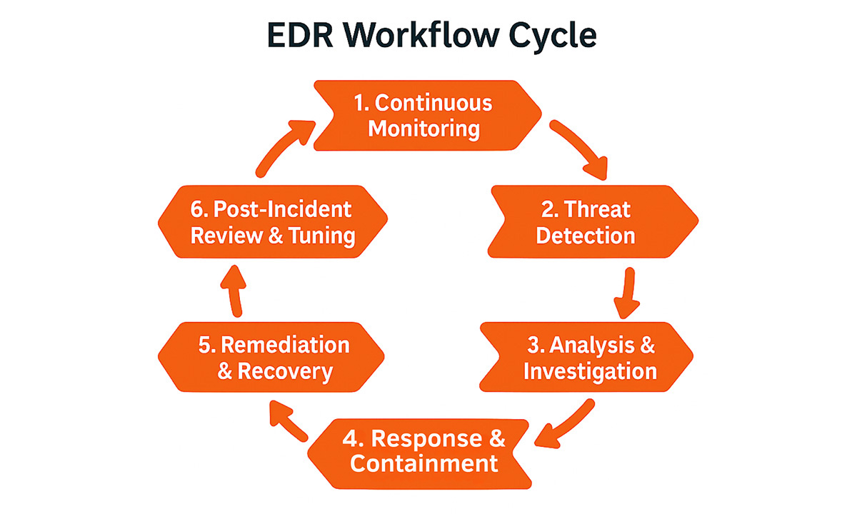 Conceptual diagram illustrating the continuous EDR workflow cycle as a slowing, circular process, including all stages.